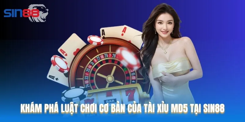 Khám phá luật chơi cơ bản của Tài Xỉu MD5 tại Sin88